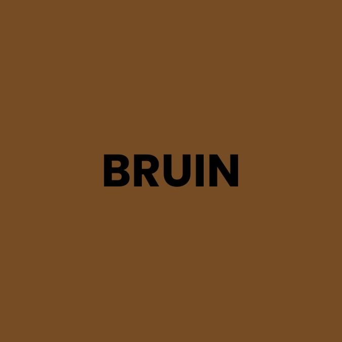 bruin