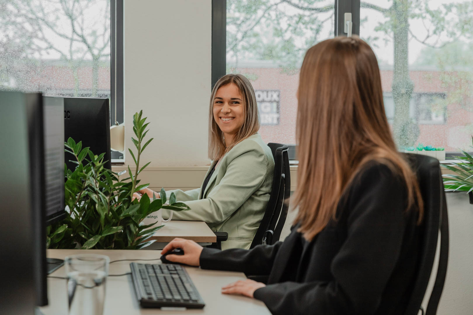 linkbuilding sittard